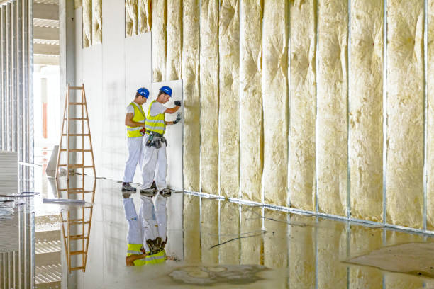 Best Attic Insulation Installation  in Schwenksville, PA